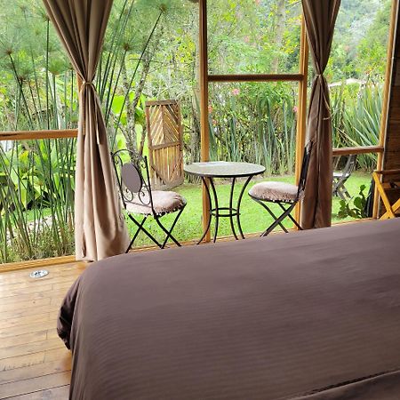 Exclusivo Cocora Con Jacuzzi Salento Quindio Villa Kültér fotó