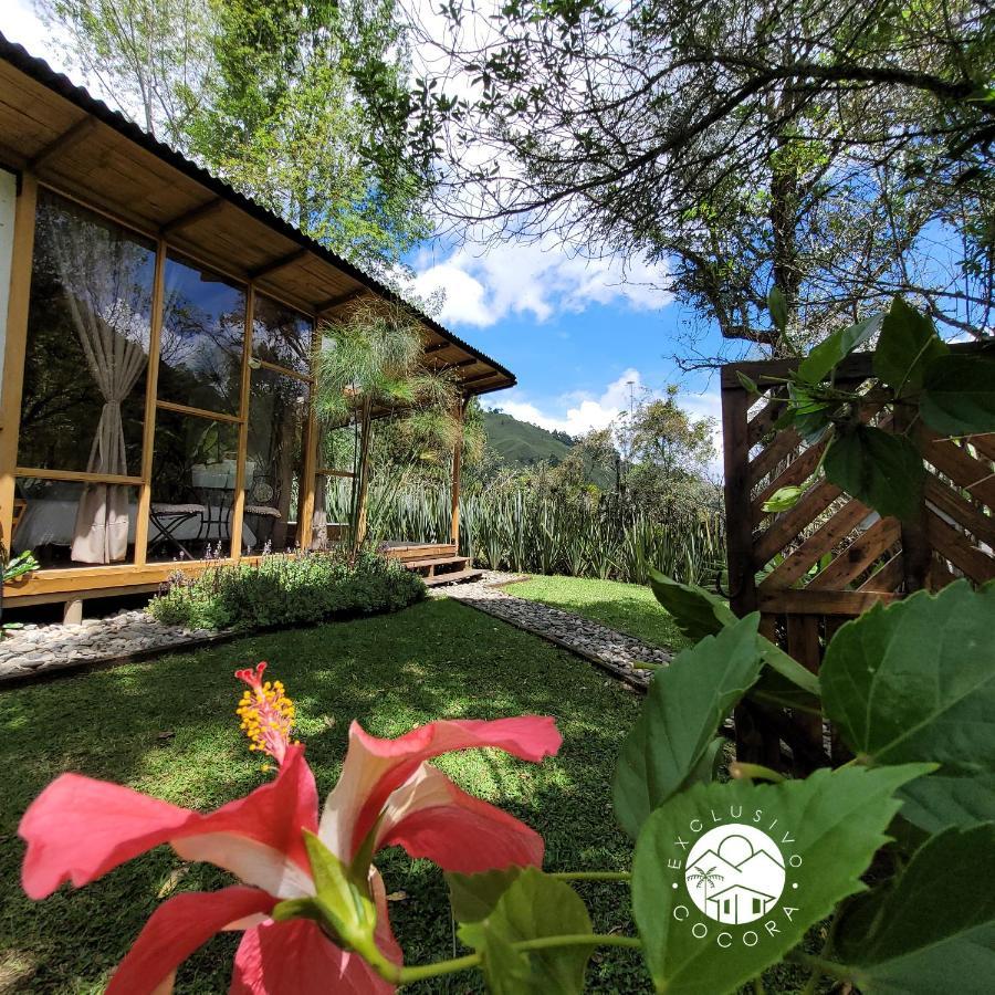 Exclusivo Cocora Con Jacuzzi Salento Quindio Villa Kültér fotó