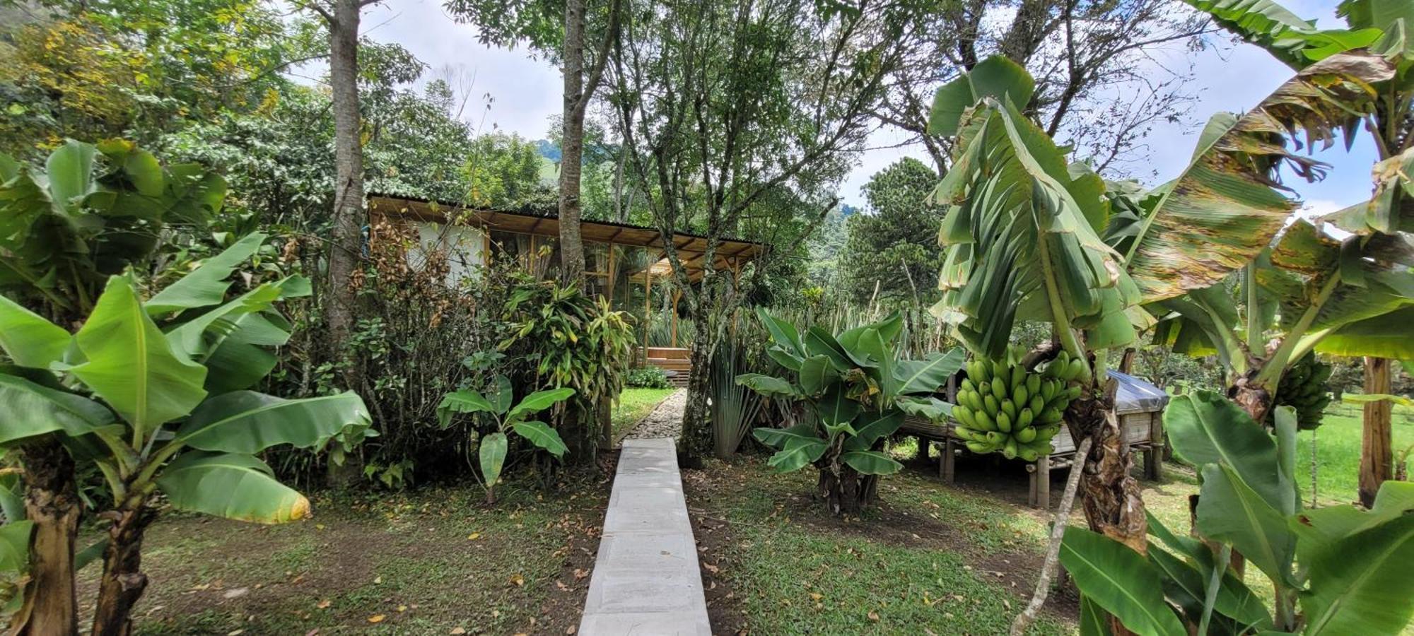 Exclusivo Cocora Con Jacuzzi Salento Quindio Villa Kültér fotó