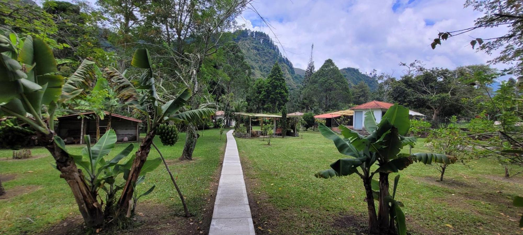 Exclusivo Cocora Con Jacuzzi Salento Quindio Villa Kültér fotó