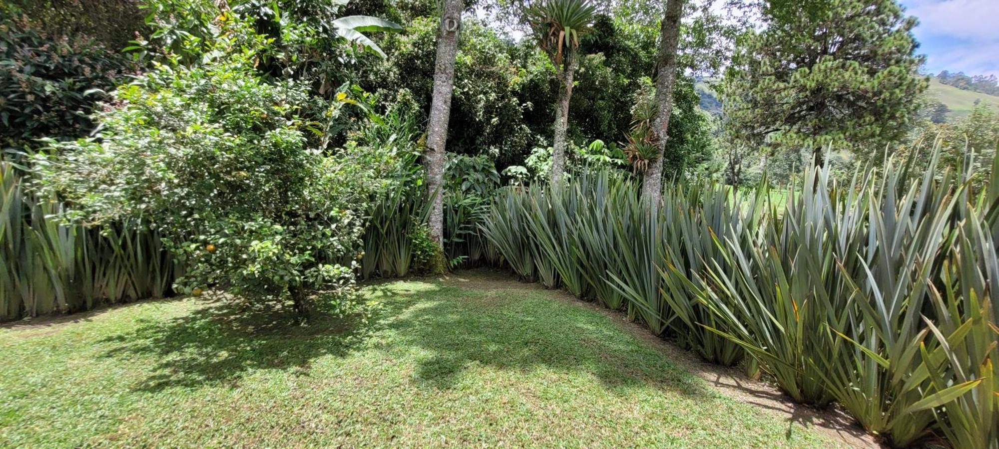 Exclusivo Cocora Con Jacuzzi Salento Quindio Villa Kültér fotó