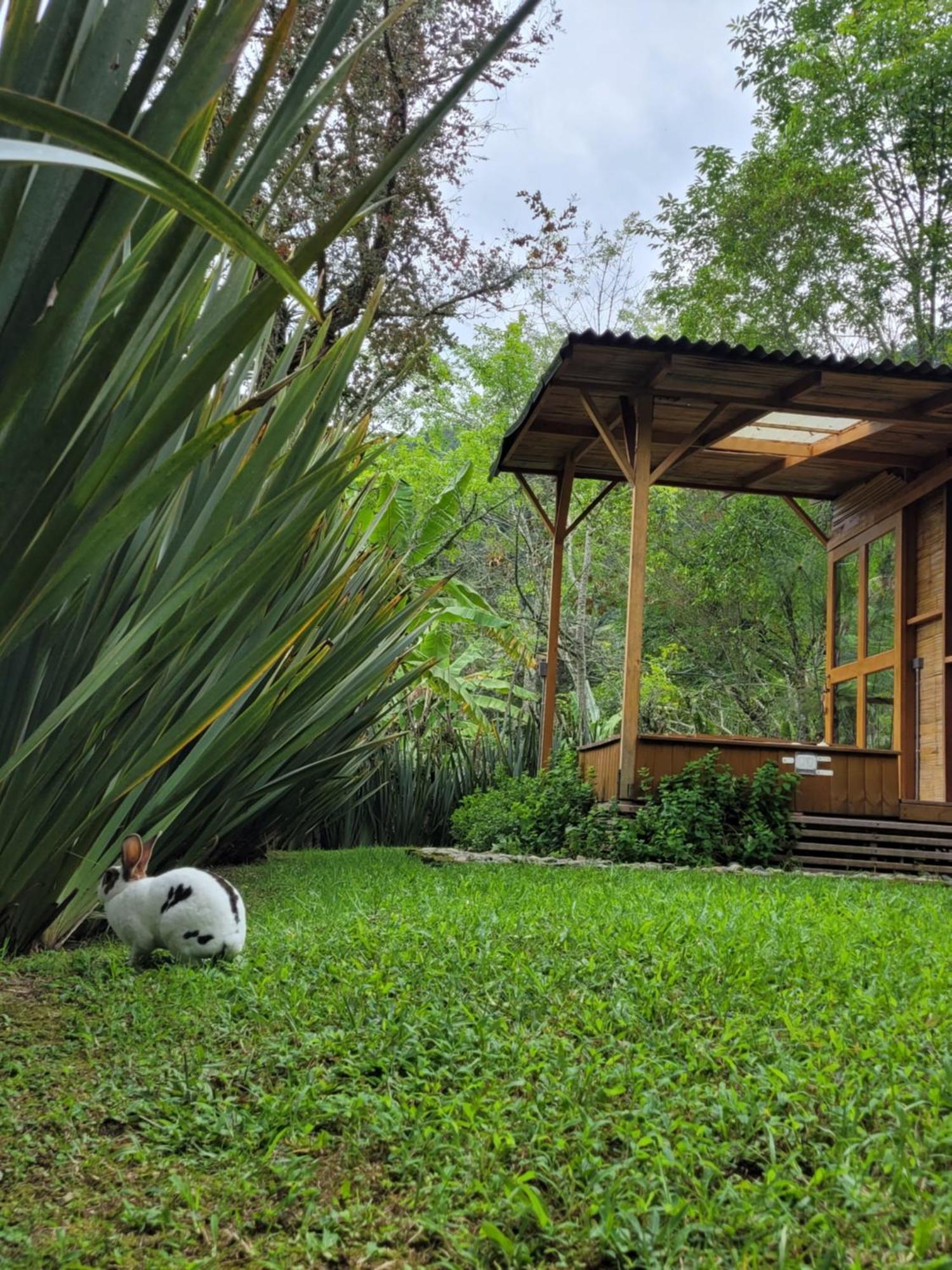 Exclusivo Cocora Con Jacuzzi Salento Quindio Villa Kültér fotó